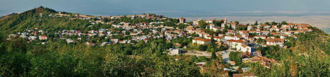 Guesthouse Fatima Sighnaghi Bagian luar foto