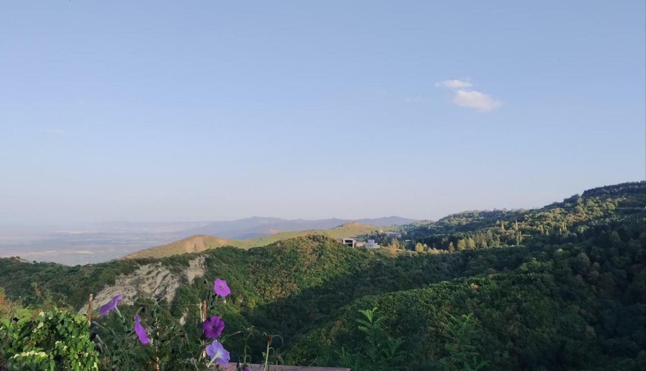 Guesthouse Fatima Sighnaghi Bagian luar foto